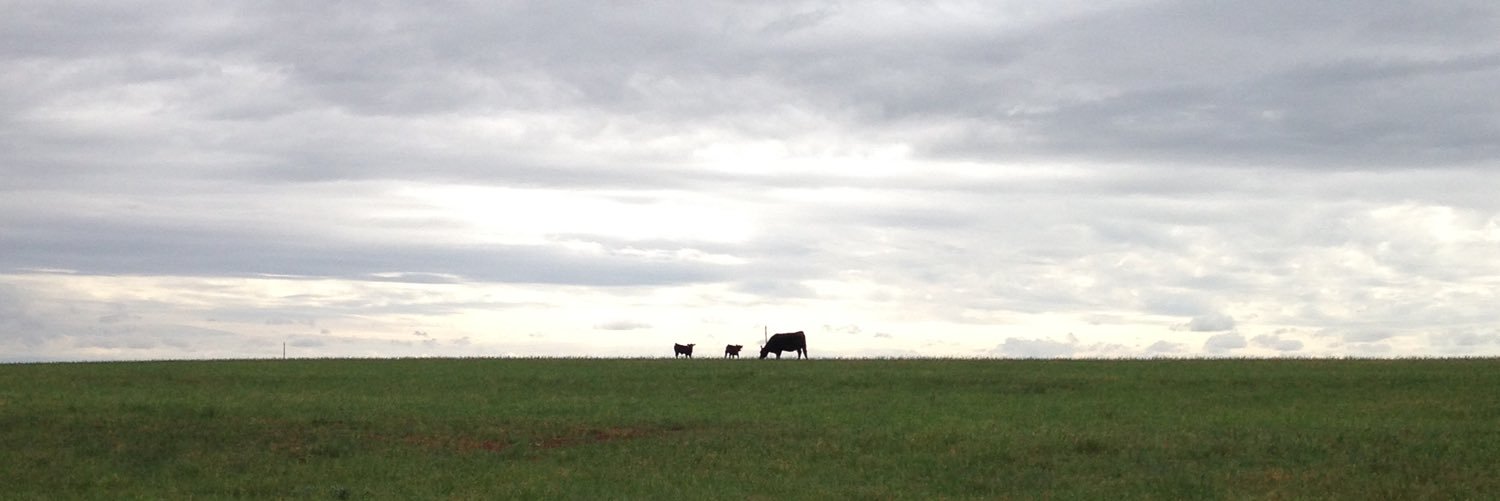 Stephanie Bradley Fryer banner