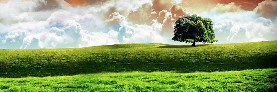 HeeralShukla's profile banner image