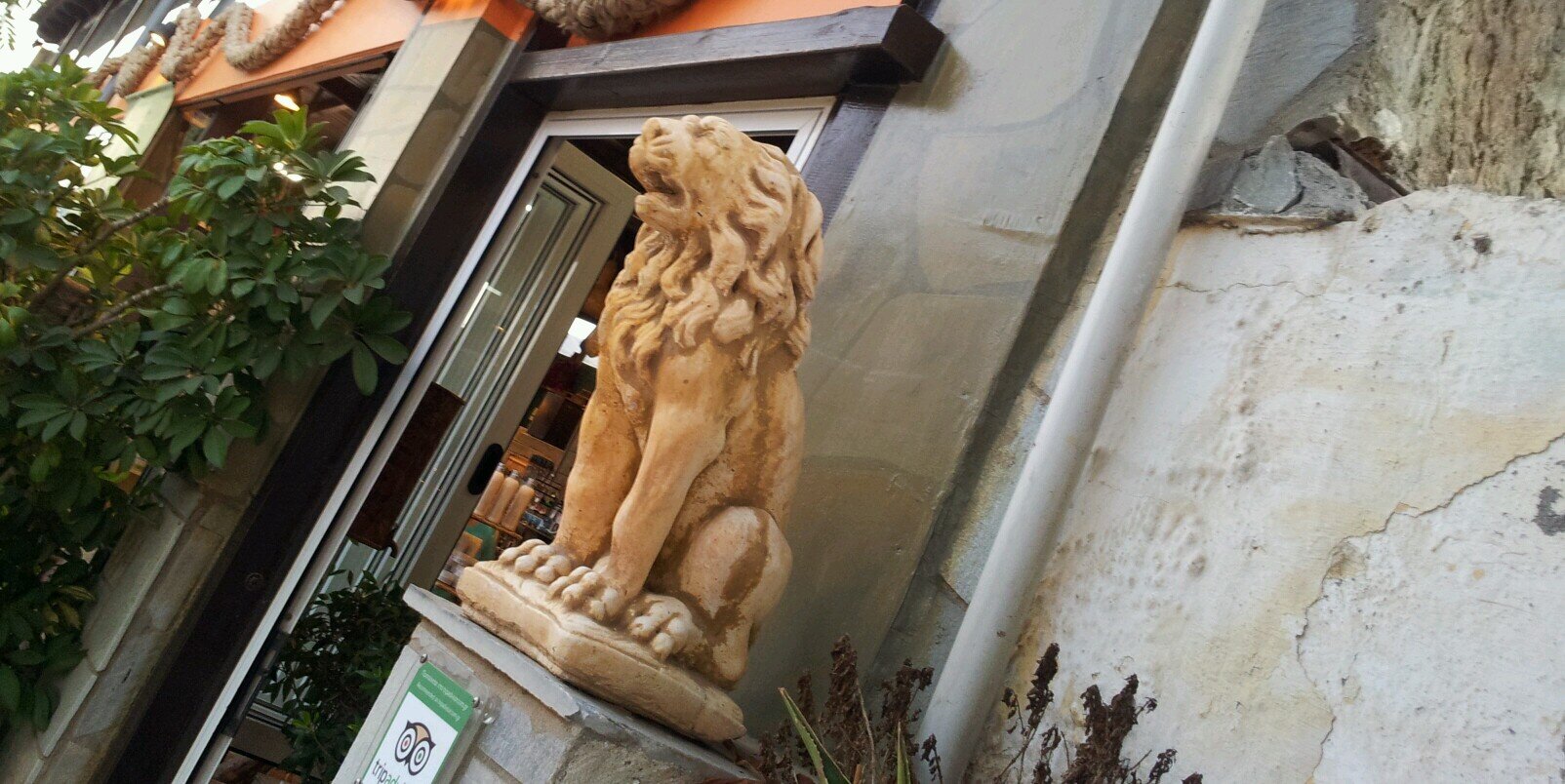 Marinulichka's profile banner image