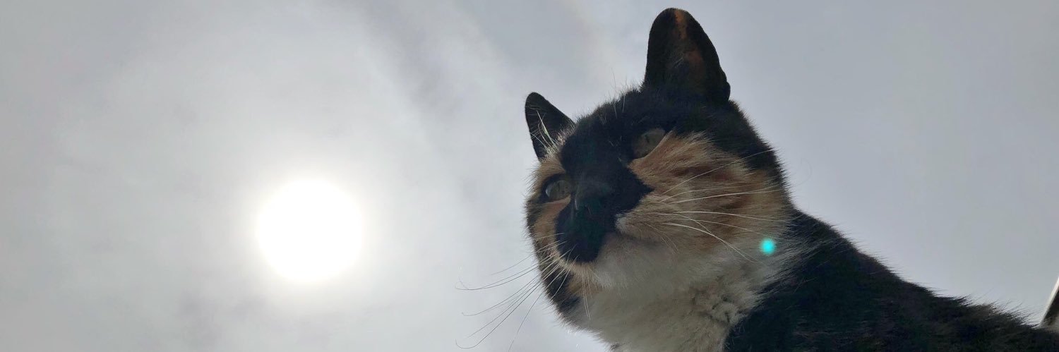 Montehausen's profile banner image