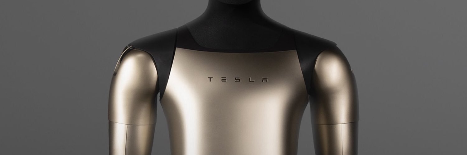 ZiqiZ 🇨🇦 🍁 all in $TSLA banner