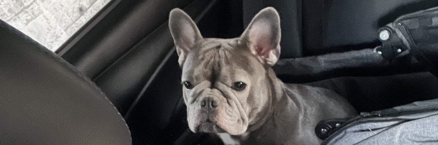 knnrcho's profile banner image