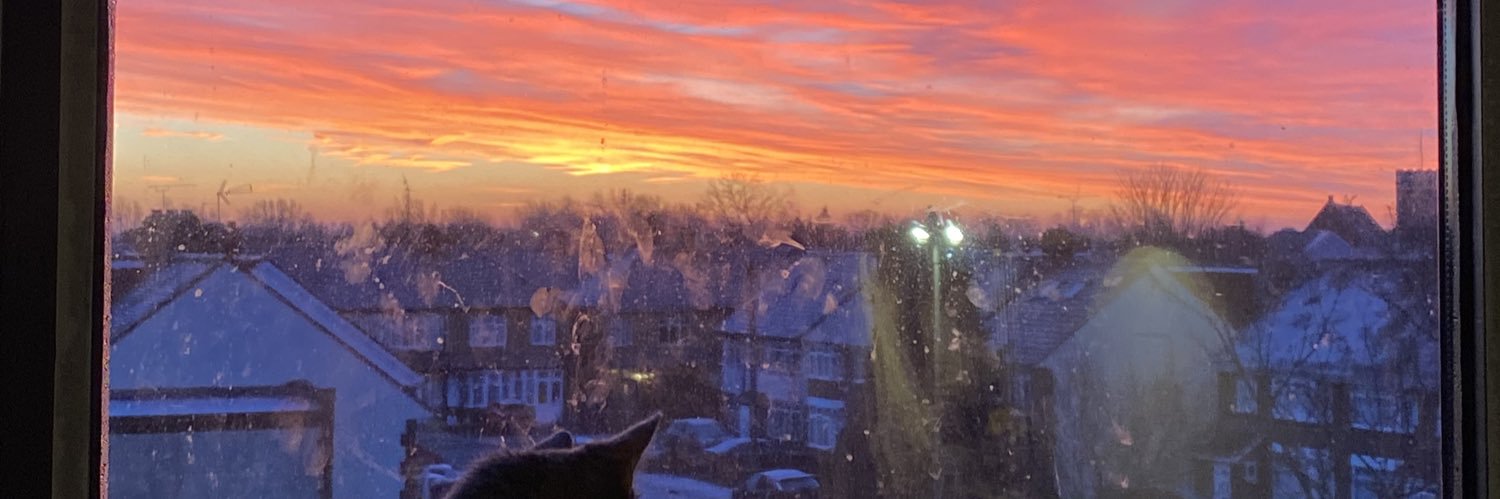 wolfyequinn's profile banner image
