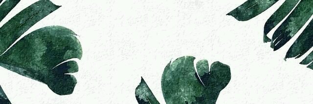 heythereashleey's profile banner image