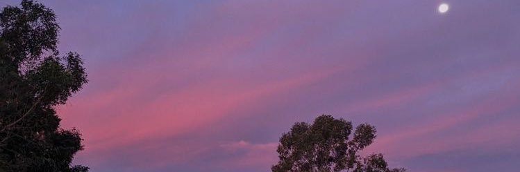 martaa_mc12's profile banner image