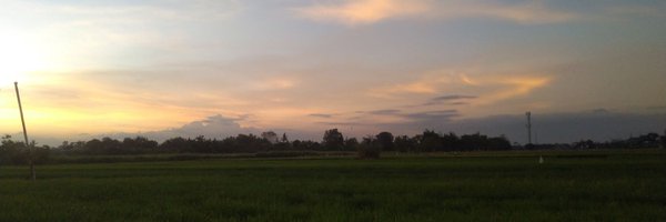 Uhdegaart Profile Banner