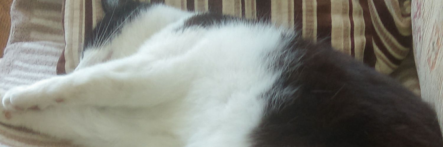 nicky banner