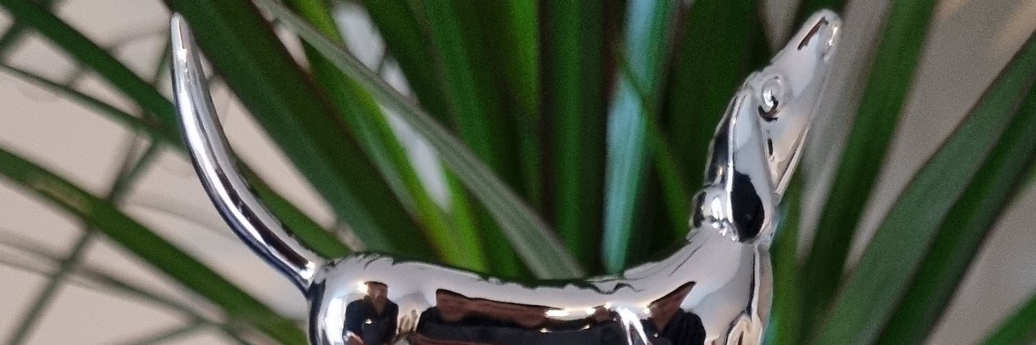 skinsley92's profile banner image