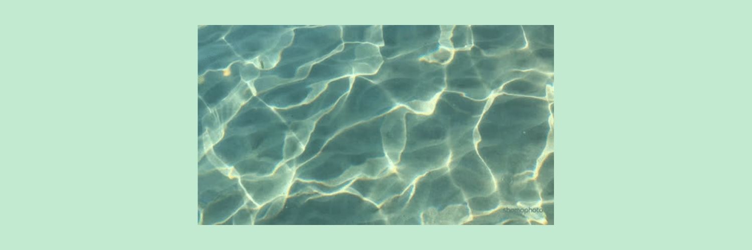 wisesnakex's profile banner image