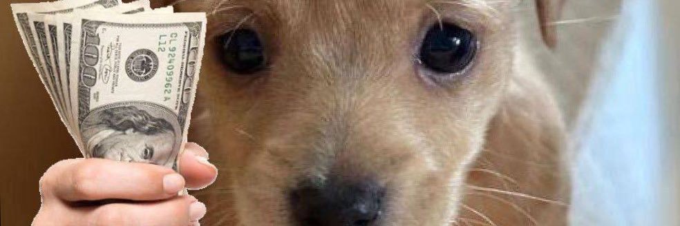 OttoBjorses's profile banner image