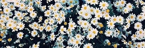Nad banner