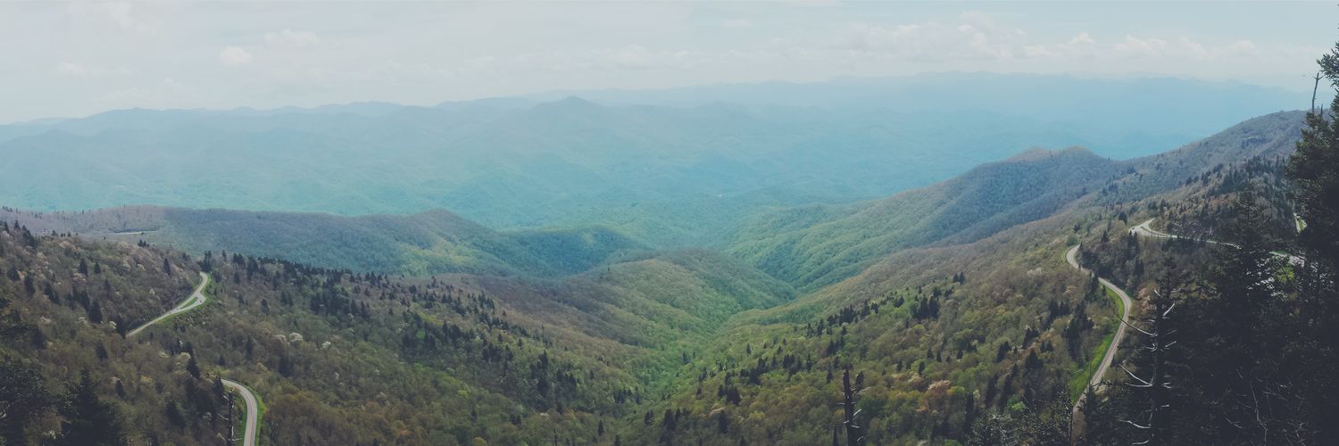 theLocusLotus's profile banner image