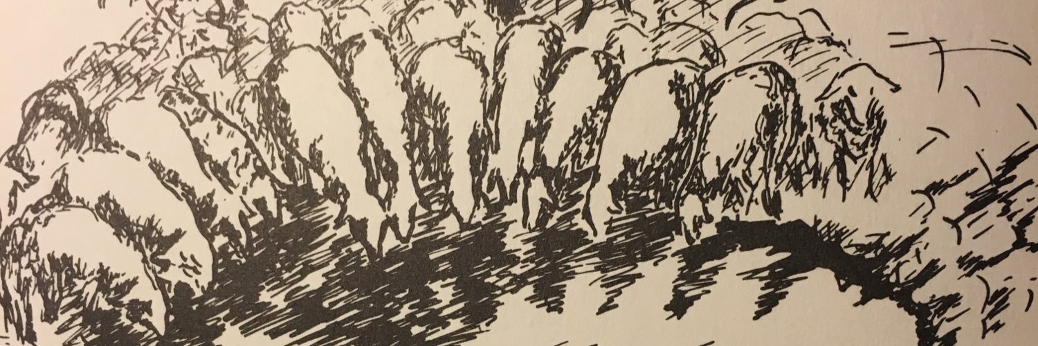 AbbeTurner's profile banner image