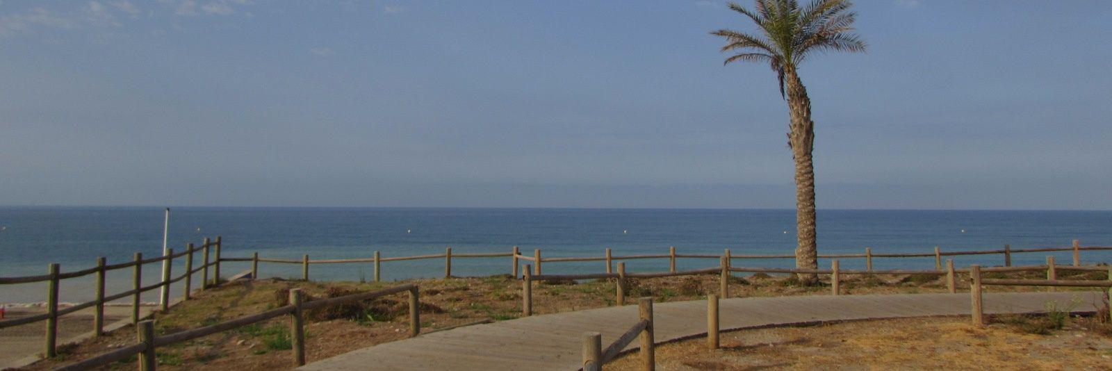 MariaTorres998's profile banner image
