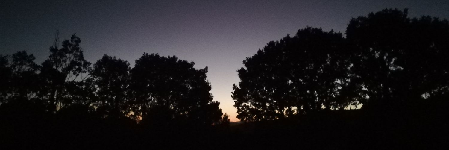 lauraa_ba's profile banner image