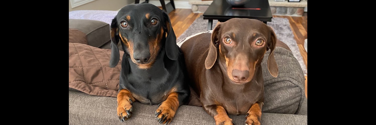 Jessica 🇨🇦 banner