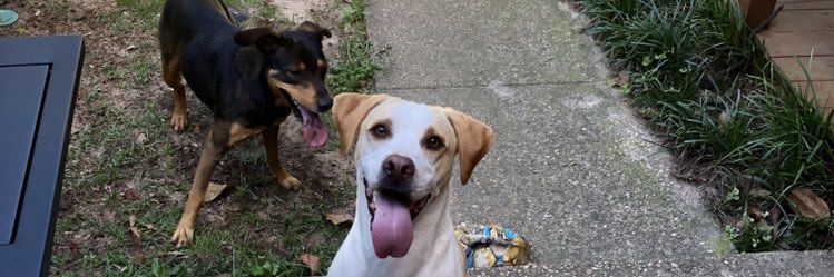 JeraMadison's profile banner image