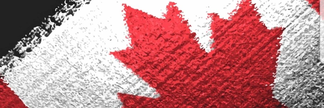 leafsdrivmenuts's profile banner image