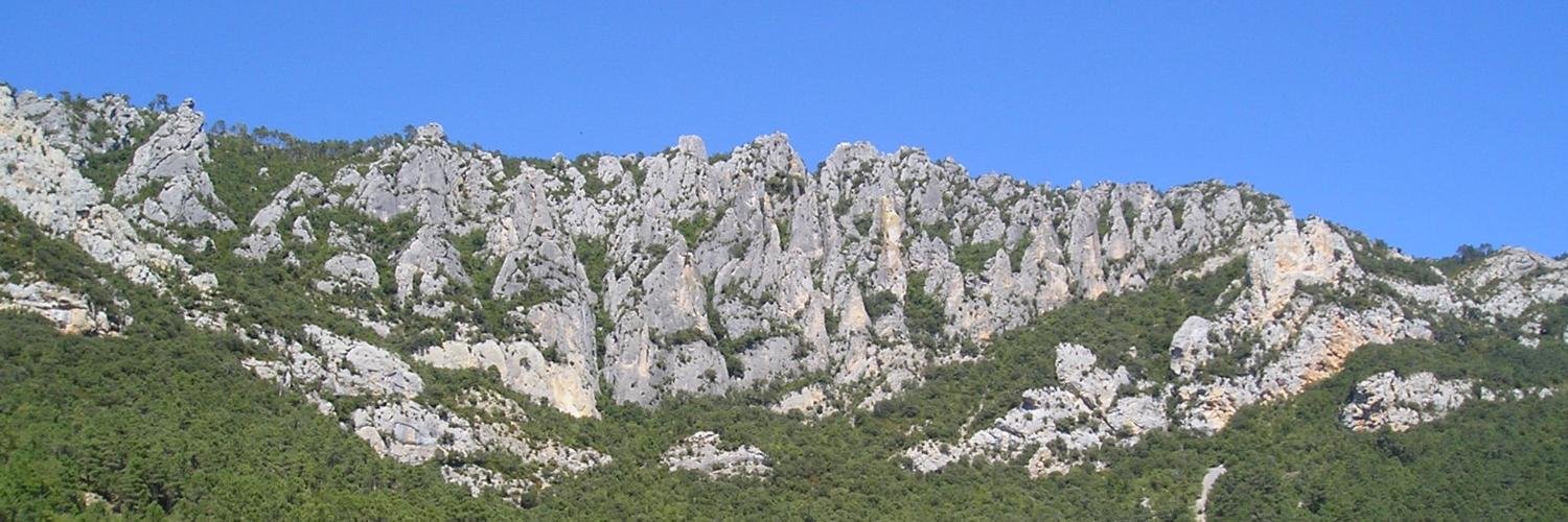 Borj_Alonso's profile banner image