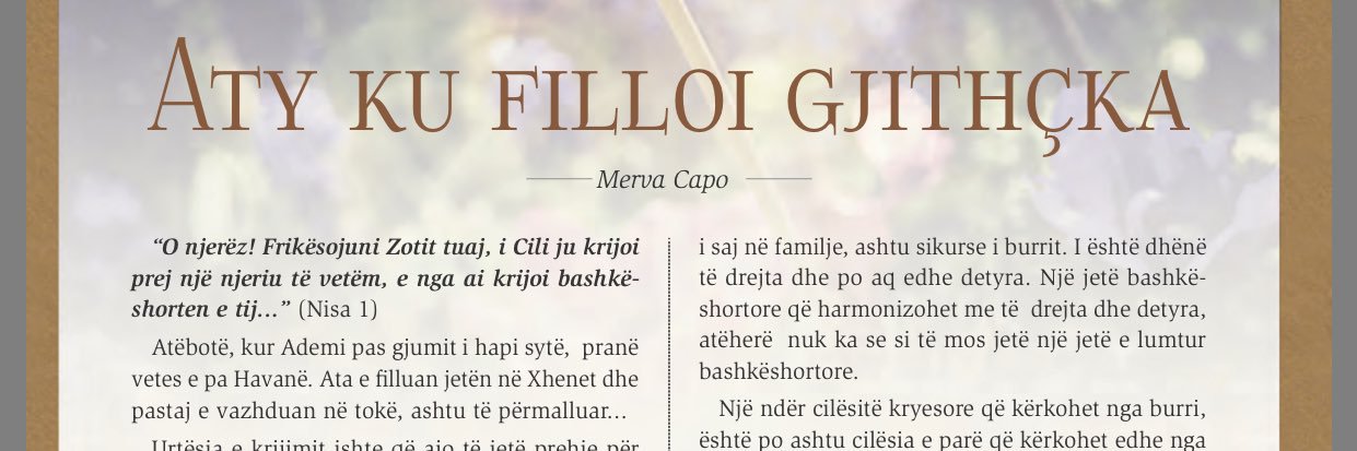 MervaCapo's profile banner image