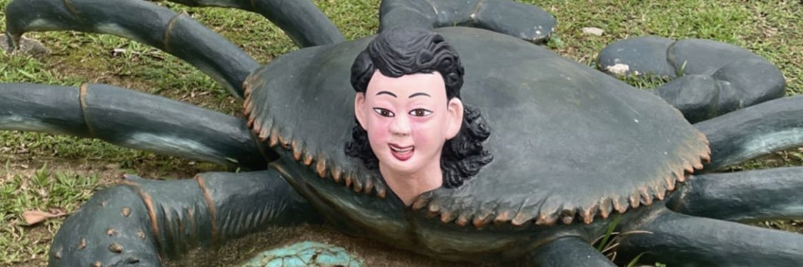 clarefsm's profile banner image