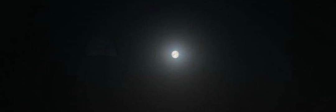 MostafaElalafty's profile banner image