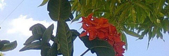 fariga2's profile banner image