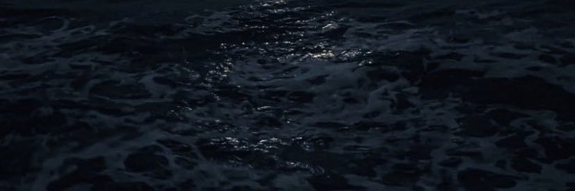 🕊 banner