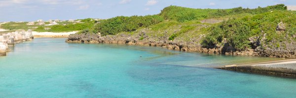 wormanago Profile Banner