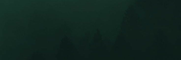 iSHIFAe's profile banner image