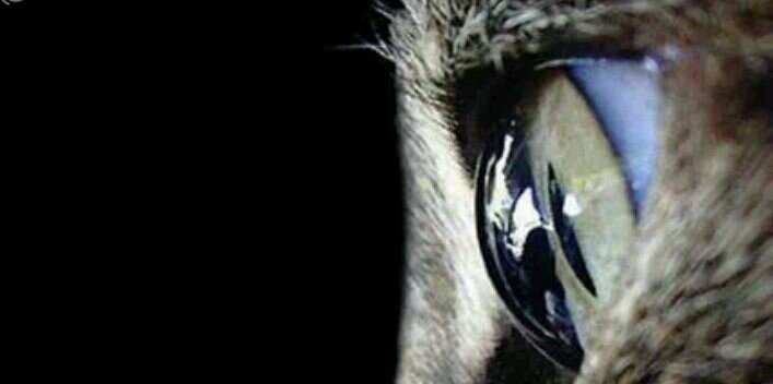 zaragc22's profile banner image