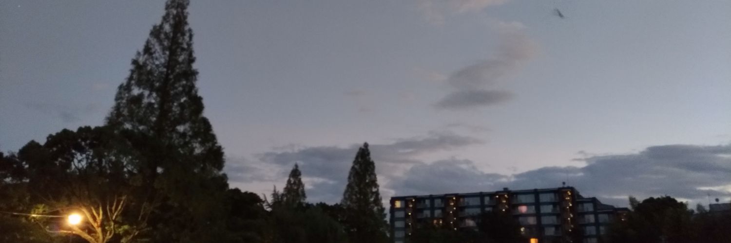 Takesii's profile banner image