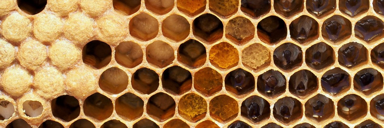 Doing Things Differently banner