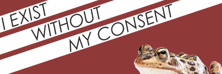 Bruno_Marcos_B's profile banner image