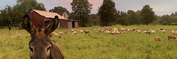 leemiller09 Profile Banner