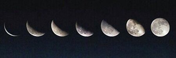 larissa96801's profile banner image
