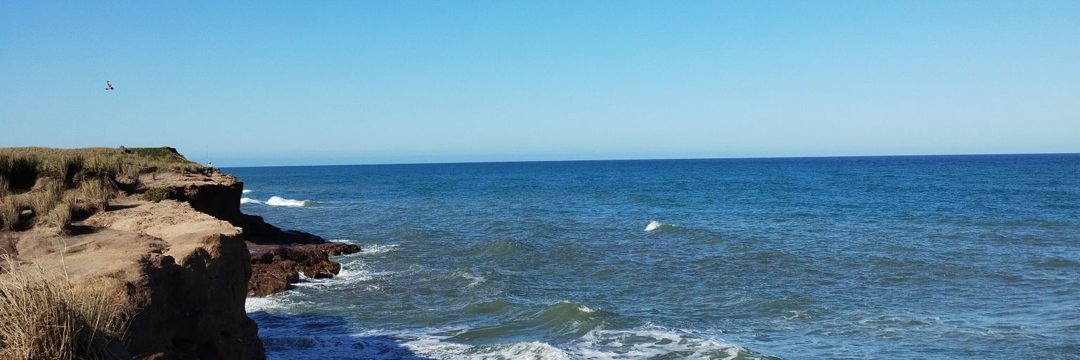 Anto_tejerina_'s profile banner image