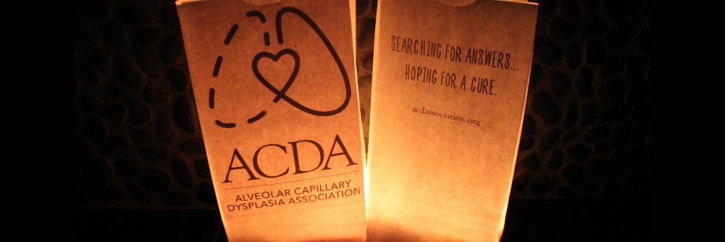ACDA banner