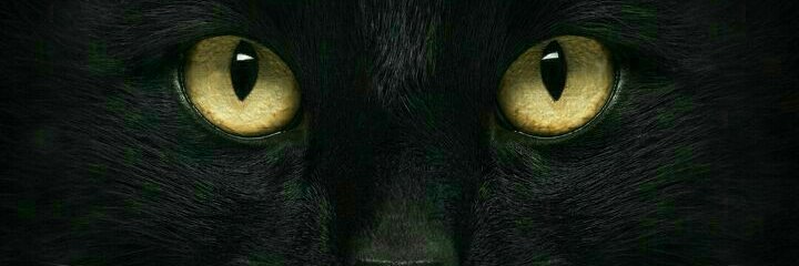 Reyfarzad's profile banner image