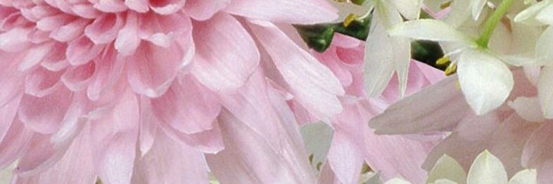 Weekly__D's profile banner image