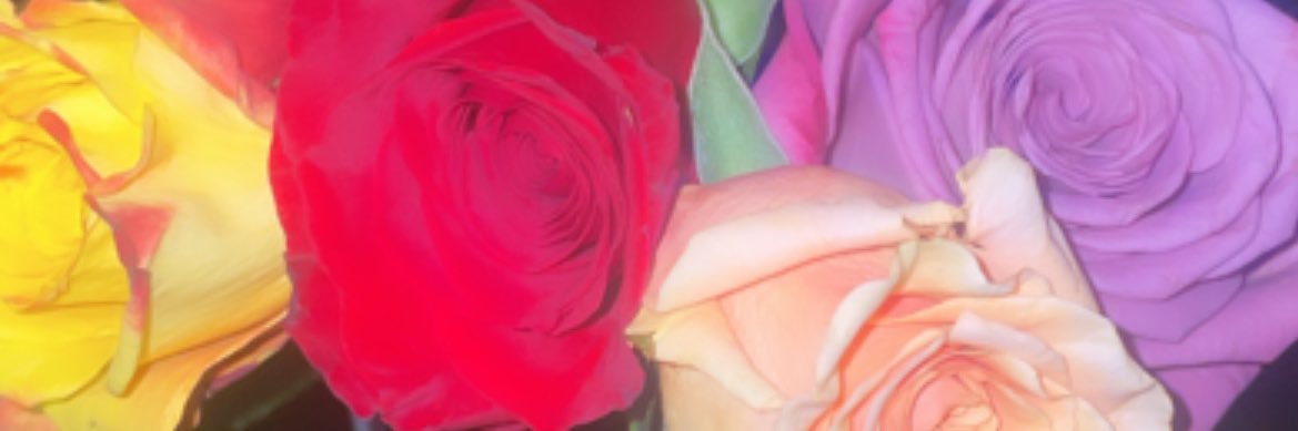 theetaylamechel's profile banner image
