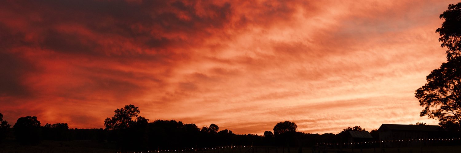 h_mockobee's profile banner image