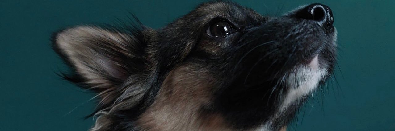 leangenocpy's profile banner image