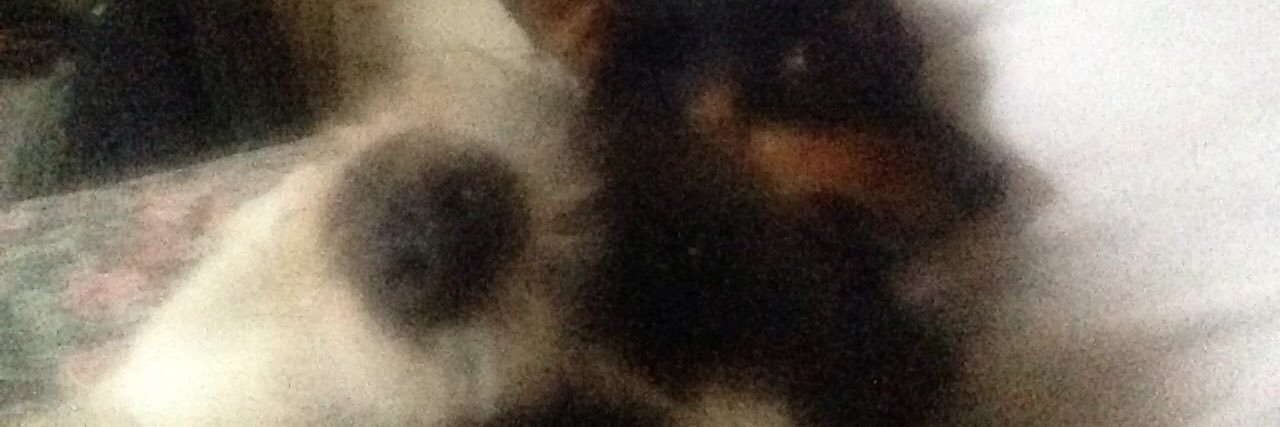 Bargia70's profile banner image