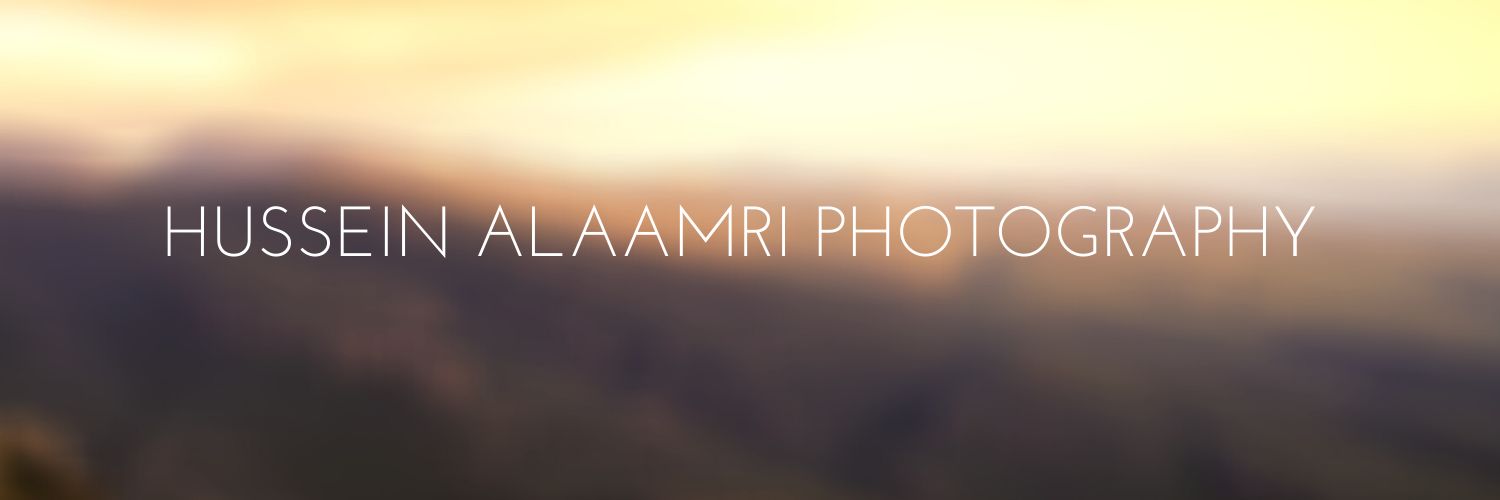 حسين العامري banner