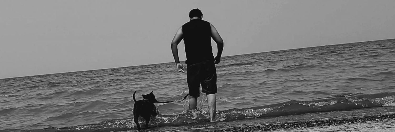 adysharda's profile banner image