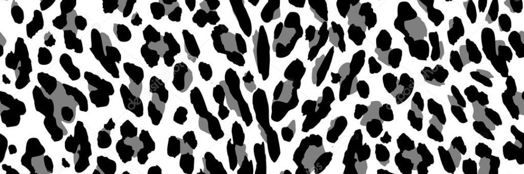 mcasielless's profile banner image
