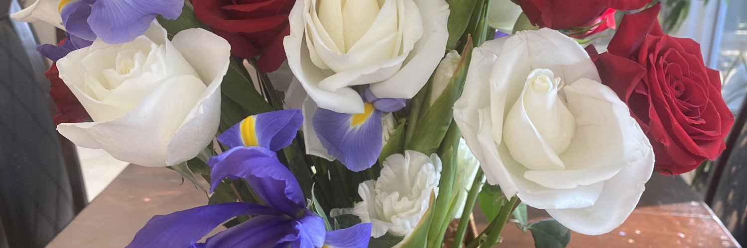 Monique Angel banner