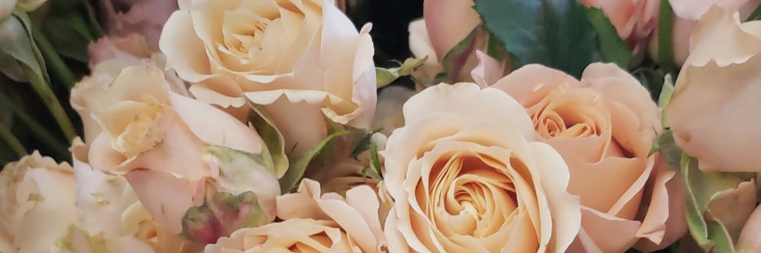 andreadoddd's profile banner image
