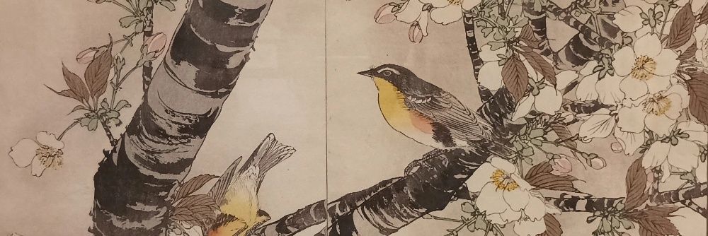 SergioObreo's profile banner image